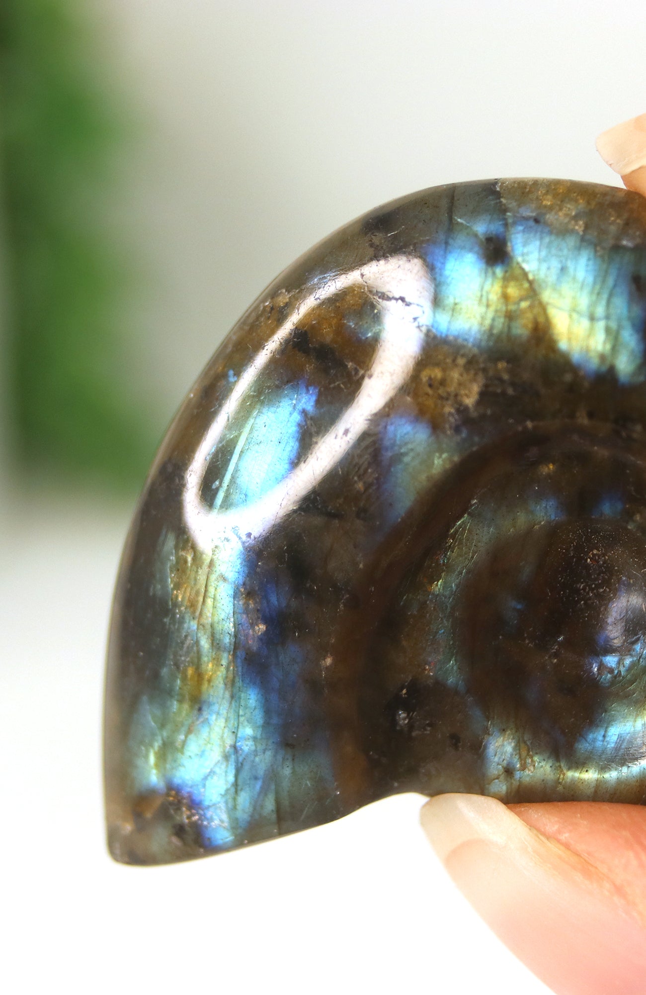 Labradorite Shell